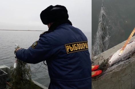 В Сальском районе сотрудники рыбоохраны провели очередной рейд
