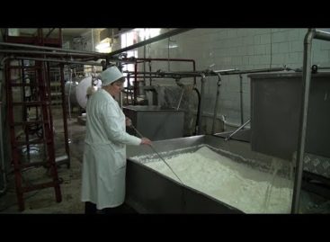 Как живет сальский молзавод? Репортаж с производства