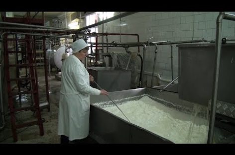 Как живет сальский молзавод? Репортаж с производства