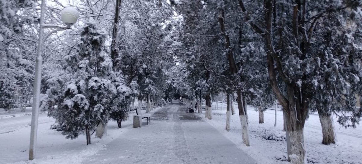 Сальчане дождались первого снега уже после Рождества
