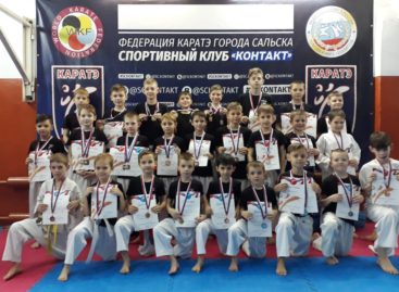 В Сальске прошли соревнования по каратэ WKF «Ступени к мастерству. Этап IV»