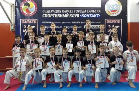 В Сальске прошли соревнования по каратэ WKF «Ступени к мастерству. Этап IV»