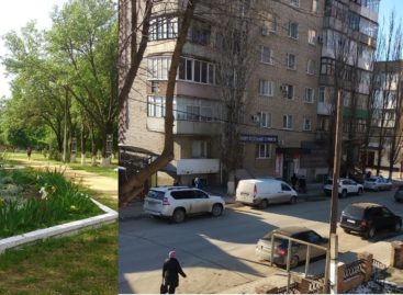 Комфортная среда-2021: за что еще голосовали сальчане?