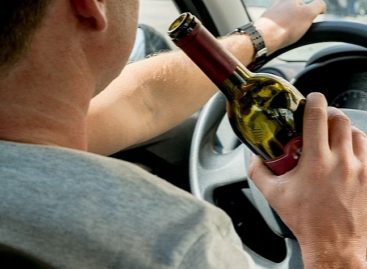 Пьяный за рулём опасен, напоминают сальским водителям сотрудники ГИБДД