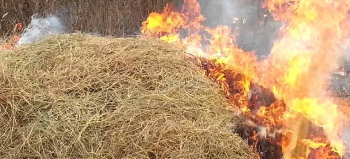 В Сандате сгорело порядка шести тонн сена