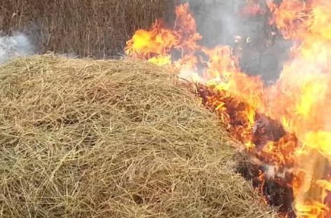 В Сандате сгорело порядка шести тонн сена