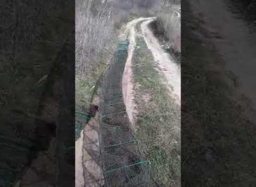 На Маныче изъяли ловушку для раков невиданных размеров — длиной 142 метра