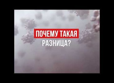 В России один из самых низких показателей заражения коронавирусом. Для этого приняты все необходимые меры