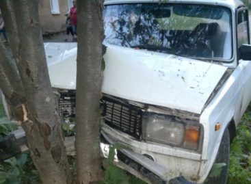 В Гиганте «пятерка» въехала в дерево