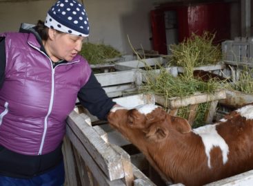 В хозяйстве «Русь» подходит к концу зимовка КРС и продолжаются полевые работы