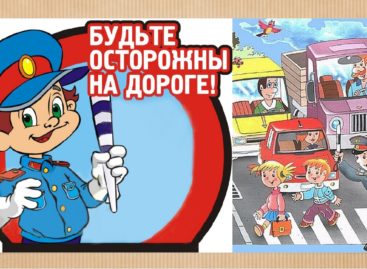 В Сальском районе идёт декадник безопасности дорожного движения