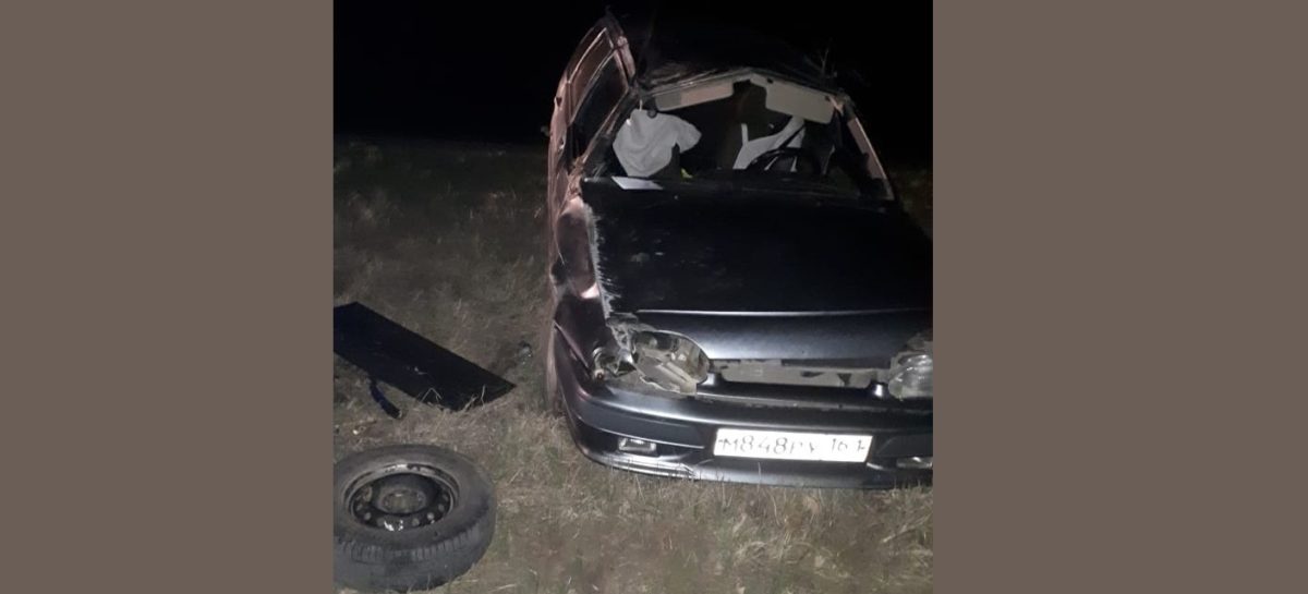 Сальчанин вёз детей в нетрезвом виде и улетел в кювет