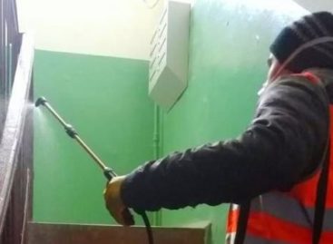 Готовы ли управляющие компании обеспечить чистоту в подъездах домов Сальского района в период угрозы заражения коронавирусом?