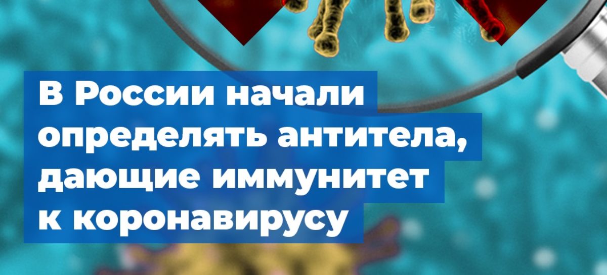 В России начали определять антитела, дающие иммунитет к коронавирусу