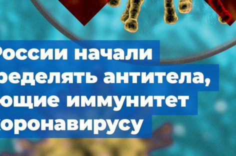 В России начали определять антитела, дающие иммунитет к коронавирусу
