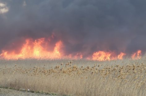 С начала года в Сальске и Сальском районе произошло 30 пожаров