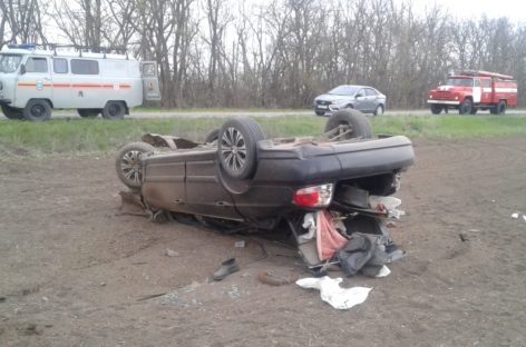 В Сальском районе в аварии погиб 39-летний мужчина