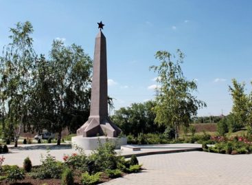На Дону продолжается работа по поиску мест массовых захоронений времен Великой Отечественной