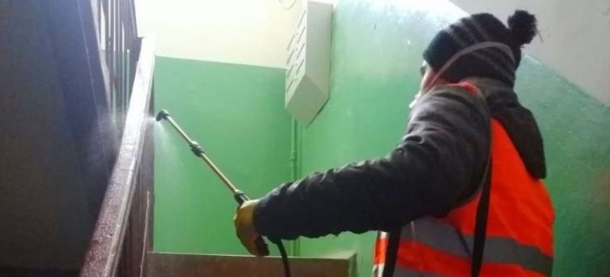 Сальские управляющие компании, которые недобросовестно проводят санобработку подъездов, будут штрафовать