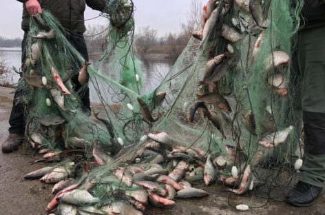 Установлена ответственность за несоблюдение требований к сохранению водных биологических ресурсов и среды их обитания