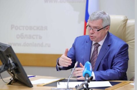 Василий Голубев взял под личный контроль вопросы получения мер поддержки