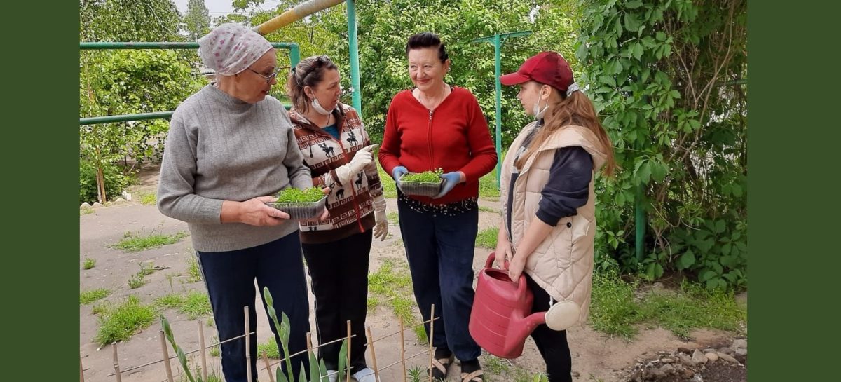 Как жители многоквартирных домов в Сальске украшают свои дворы