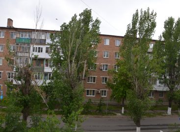 Засохший тополь «украшает» улицу Свободы в Сальске, недалеко от мемориала «Поклон»