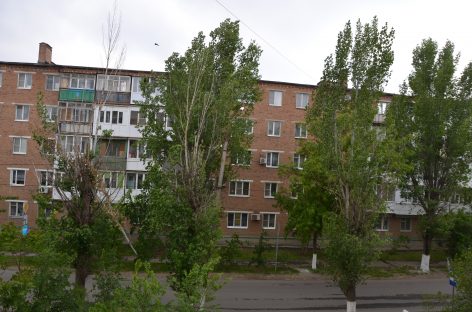Засохший тополь «украшает» улицу Свободы в Сальске, недалеко от мемориала «Поклон»