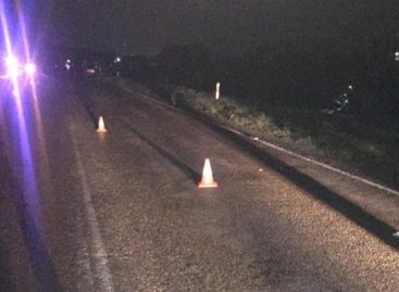 В Ростовской области аварий стало меньше, однако почти вдвое увеличилось количество погибших в ДТП