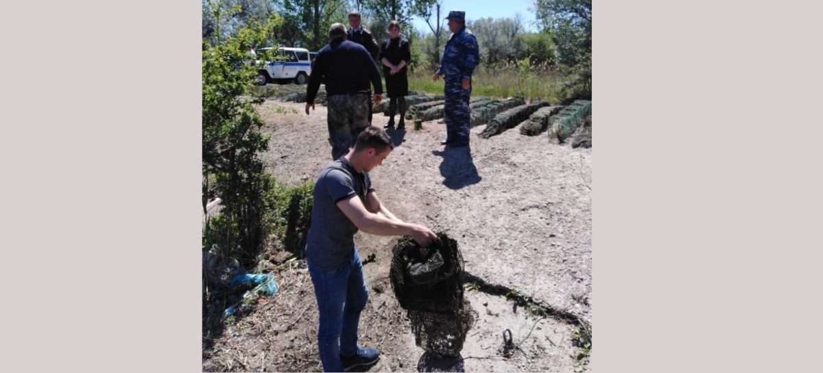Предотвратили ущерб водным биоресурсам