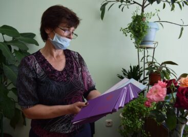 Выдача аттестатов девятиклассникам в школах Сальского района перенесена