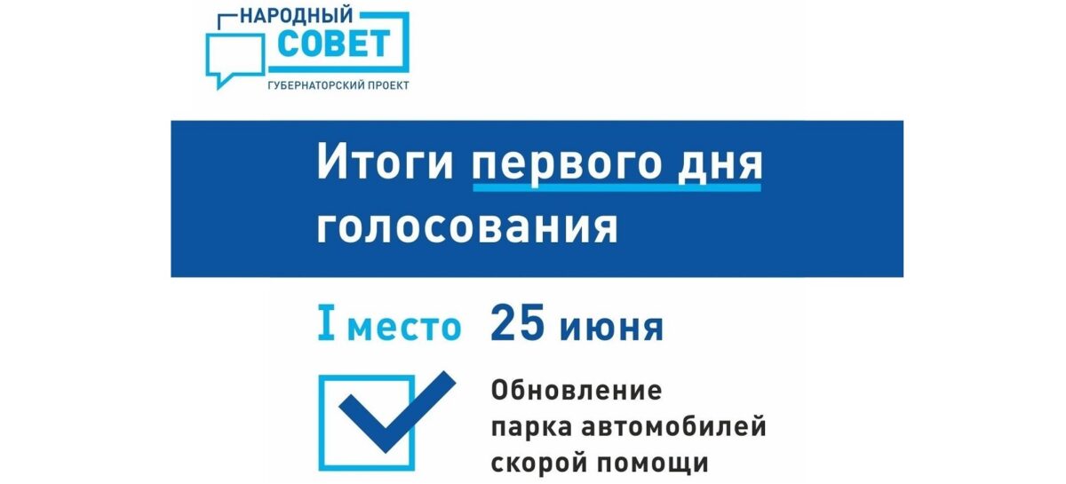 Подвели первые итоги голосования в рамках губернаторского проекта «Народный совет»