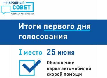 Подвели первые итоги голосования в рамках губернаторского проекта «Народный совет»