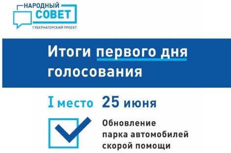 Подвели первые итоги голосования в рамках губернаторского проекта «Народный совет»