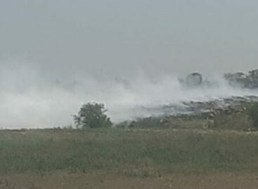 В самое пекло сальчанам приходится дышать дымом от горящей свалки