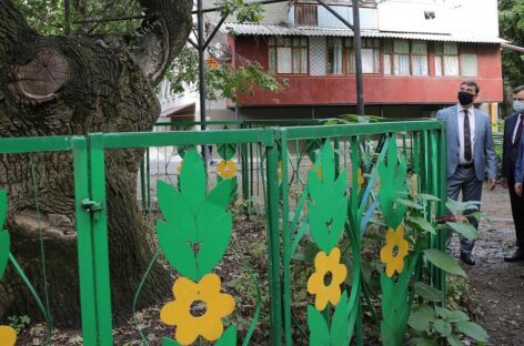 Губернатор предложил привести в порядок таганрогскую рощу «Дубки»