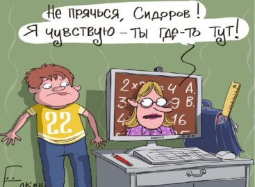 «Дистанционка» преподала уроки сальчанам