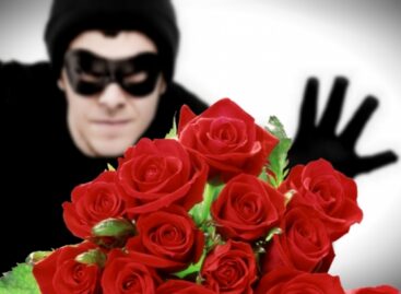 В Сальске с Аллеи Славы украли розы