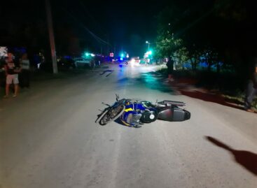 В результате аварии в травматологическое отделение сальской больницы попали два сальчанина