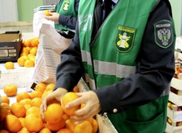 Сальских земледельцев, не соблюдающих законодательство в области карантина растений, будут штрафовать
