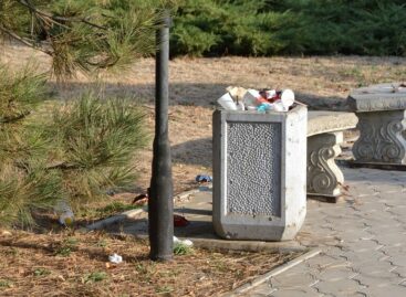 В Сальске даже центральные улицы были замусорены