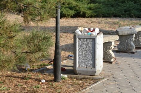 В Сальске даже центральные улицы были замусорены