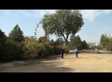 В сальском парке продолжается реконструкция: появился новый фонтан