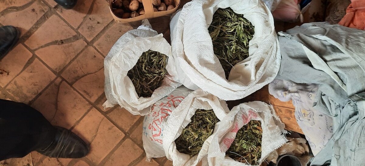 Транспортные полицейские в Сальске изъяли марихуану в крупном размере