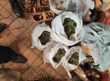 Транспортные полицейские в Сальске изъяли марихуану в крупном размере