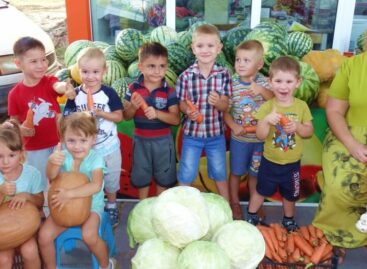 В Сальске подвели итоги фотоконкурса «Праздник урожая» и приглашают участвовать в новом