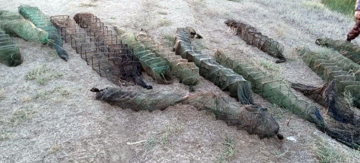 На Маныче транспортные полицейские пресекли незаконный вылов рыбы и раков