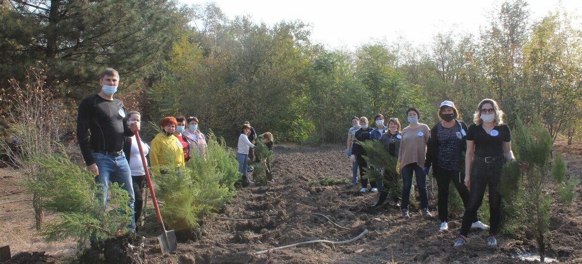 Сотрудники налоговой службы поучаствовали в акции древонасаждения