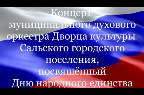 Муниципальный духовой оркестр видеоконцертом поздравляет сальчан с Днем народного единства