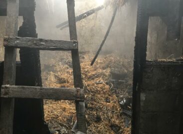 В Гиганте, на улице Автодорожной, горела крыша хозпостройки
